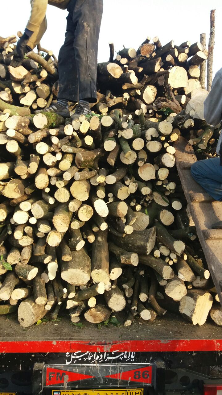 خرید چوب مخصوص تولیدذغال قلیانی وکبابی لیمو